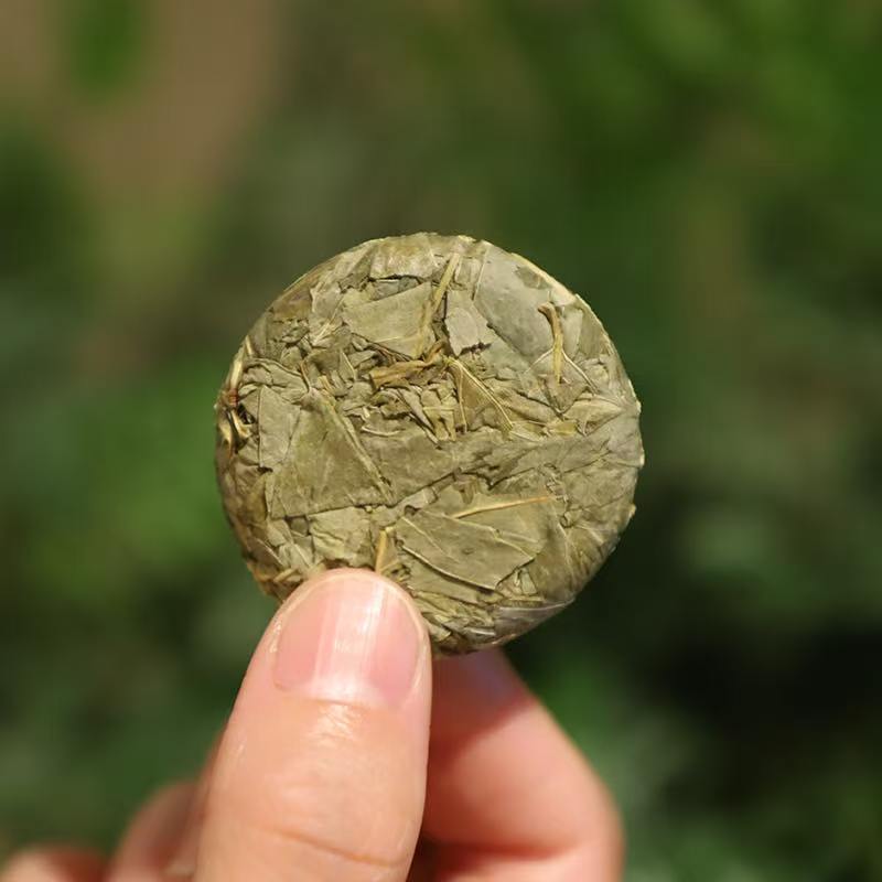 白毫银针的「毫香蜜韵」：探寻福鼎茗茶的千年魅力