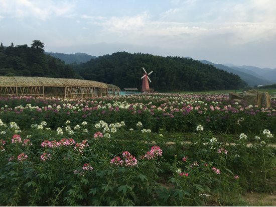 生态种植标准