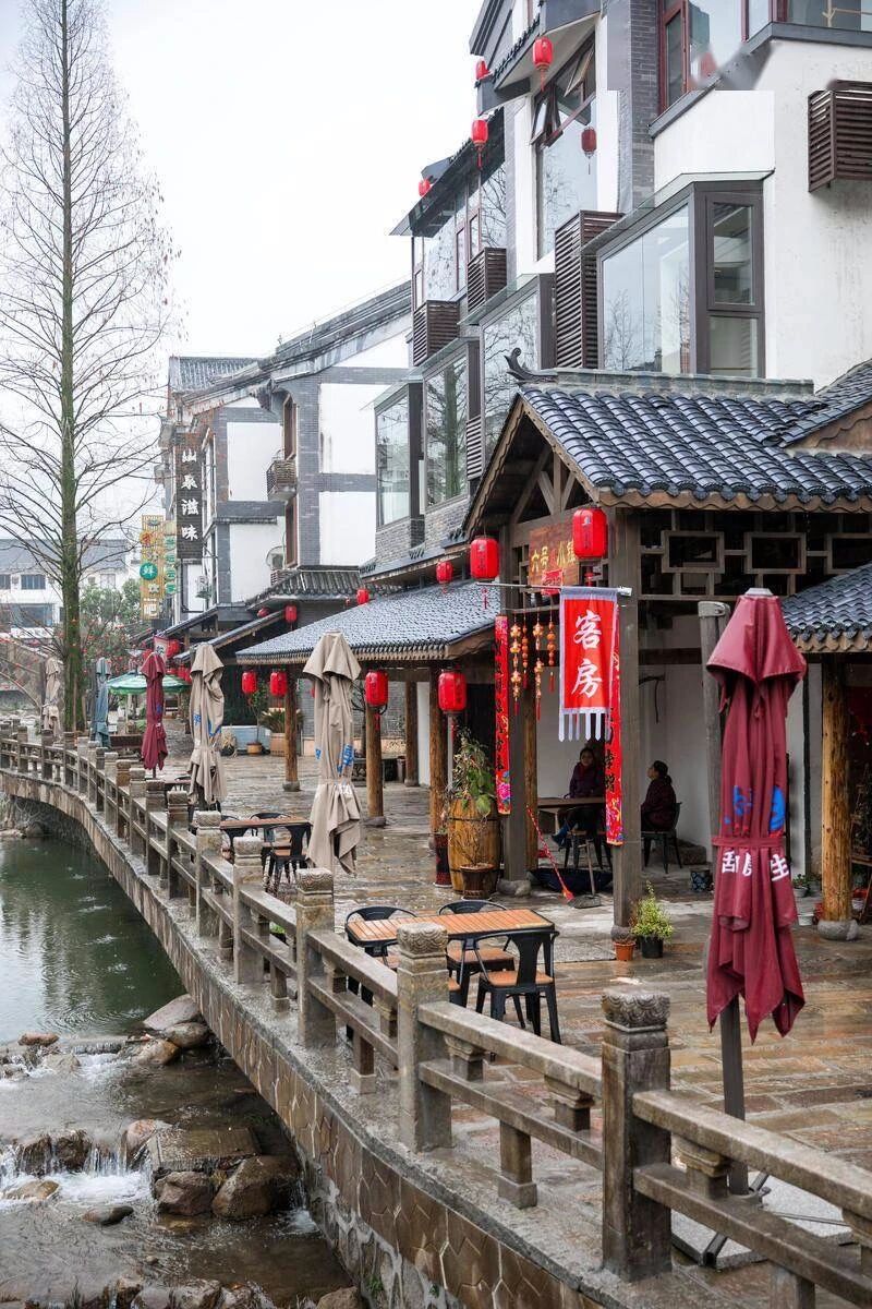 茶园基地