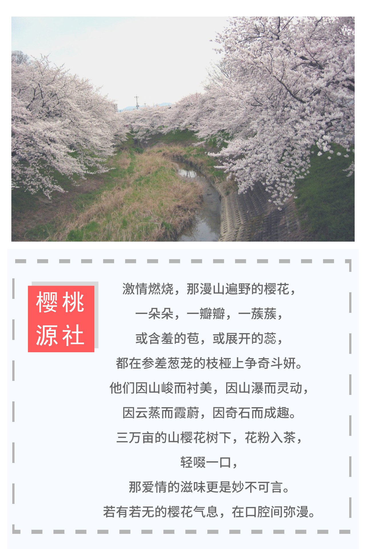 品鉴活动现场