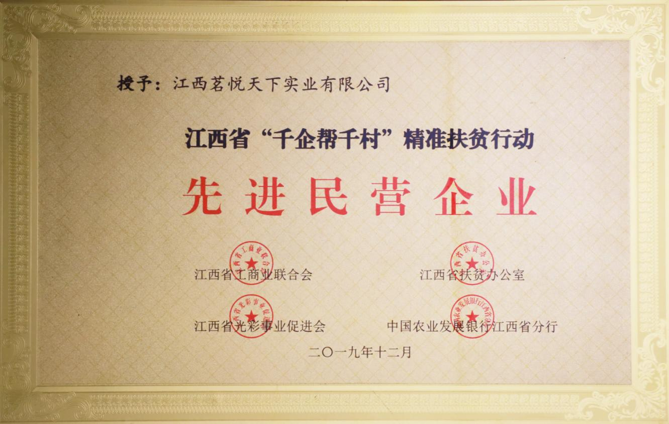 2019年先进民营企业