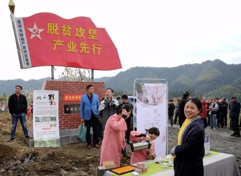 山樱野红品鉴认购会